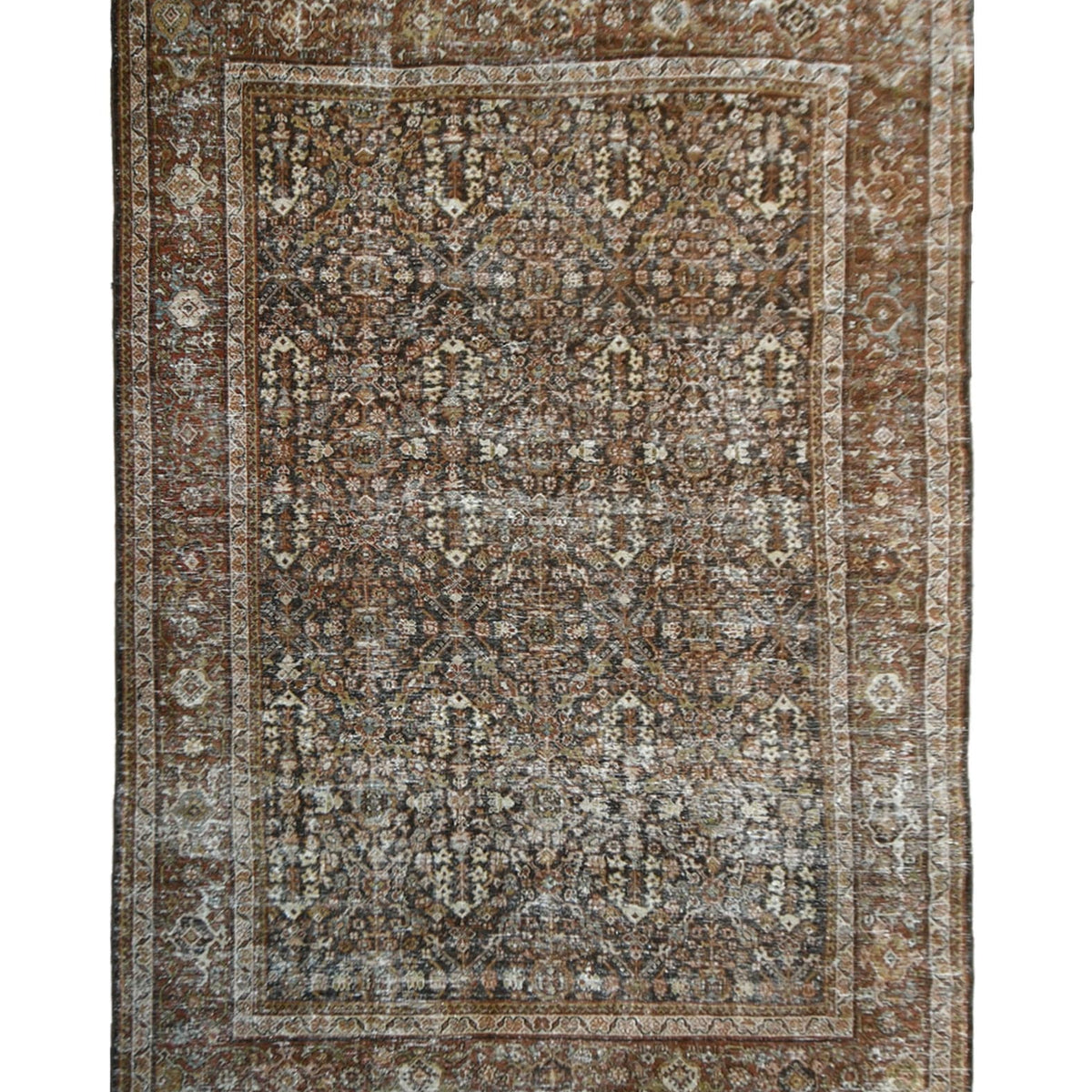 Robin Bellavance Rite Rug Robin (8x12)– Passerine