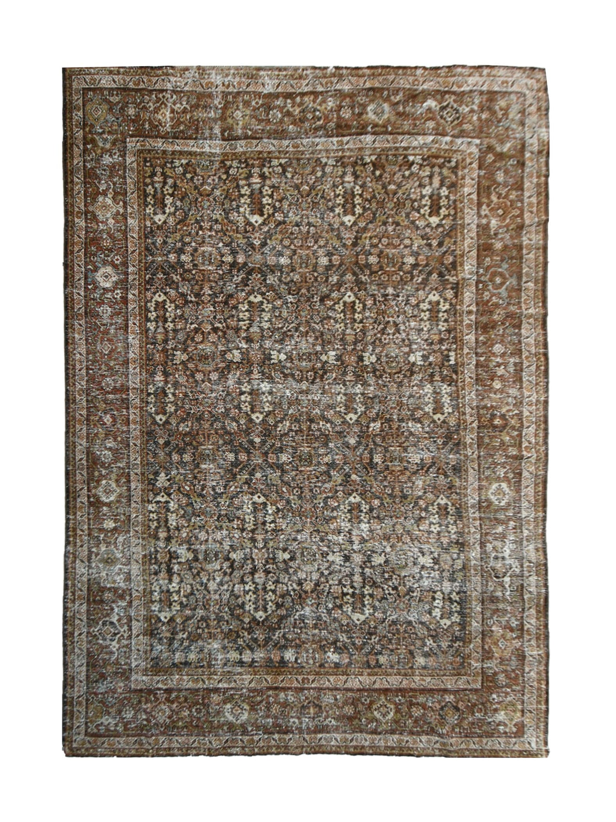 Robin Bellavance Rite Rug Robin (8x12)– Passerine